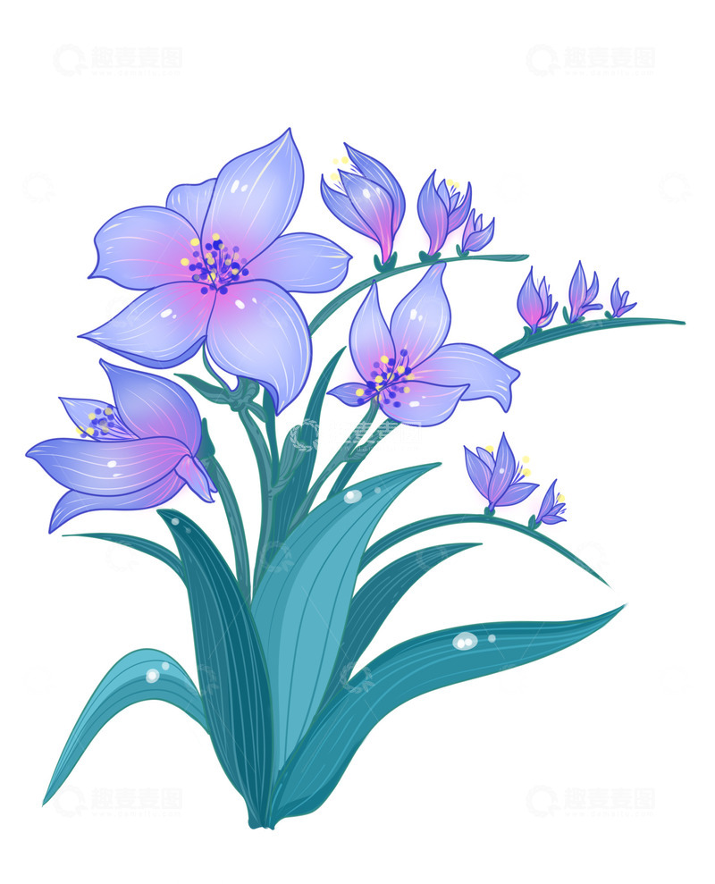 源文件下载【趣麦麦图】漂亮的蓝色兰花