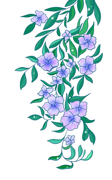 漂亮美丽的花藤