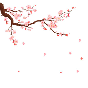 梅花冬天冬至过年桃花