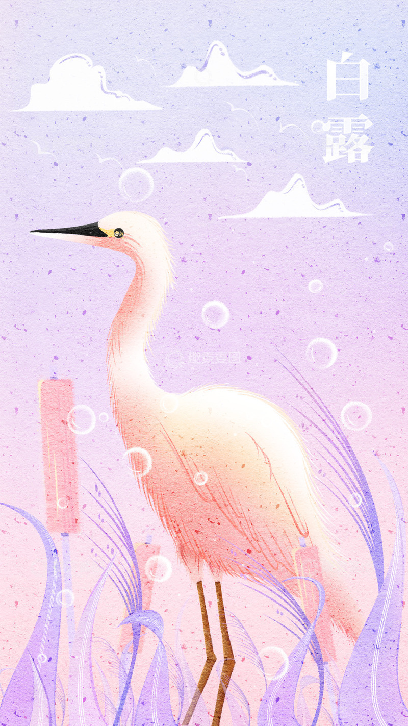 源文件下载【趣麦麦图】24节气白白鹭插画海报