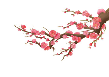 手绘线性国潮寒梅梅花插画
