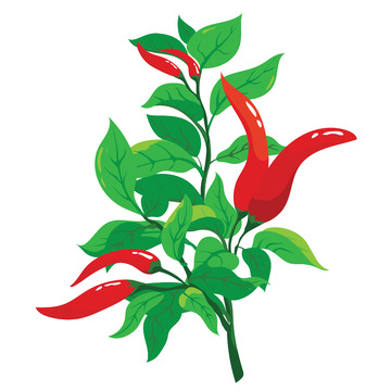 红色辣椒小尖椒辣椒树