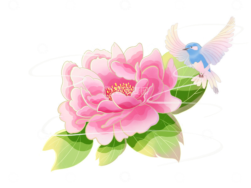 源文件下载【趣麦麦图】国潮芙蓉花鸟