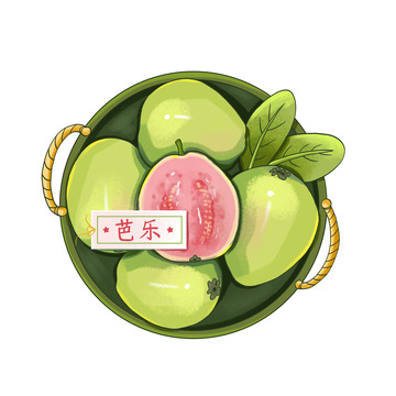芭乐番石榴红心水果美食插画手绘