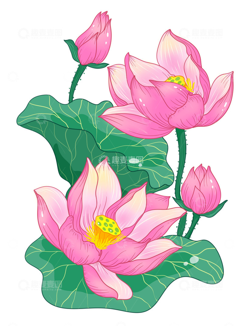 源文件下载【趣麦麦图】绿叶植物漂亮荷花