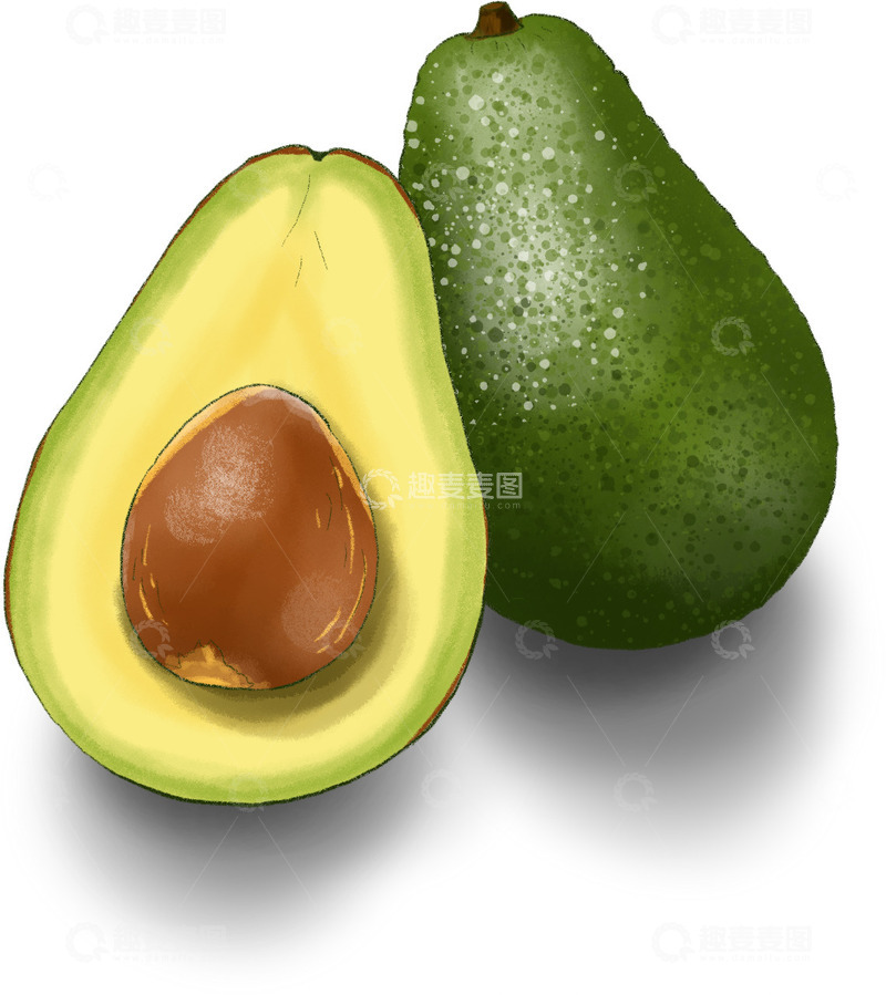 源文件下载【趣麦麦图】牛油果手绘写实水果插画绿色黄色