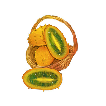 火参果水果美食黄色篮子绿色手绘插画
