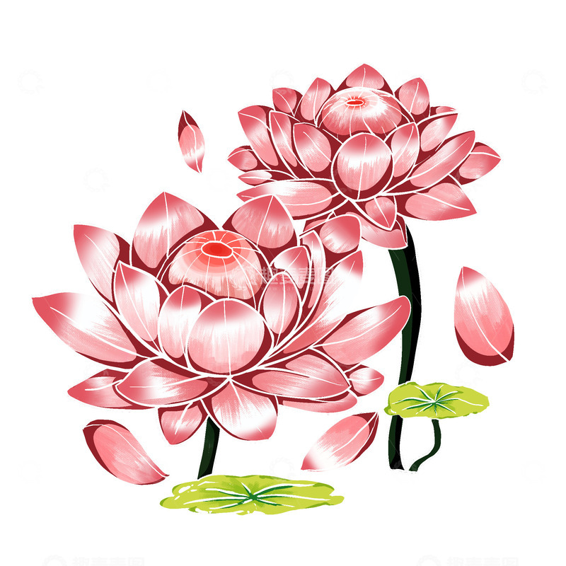 源文件下载【趣麦麦图】手绘国潮风粉色莲花荷叶元素