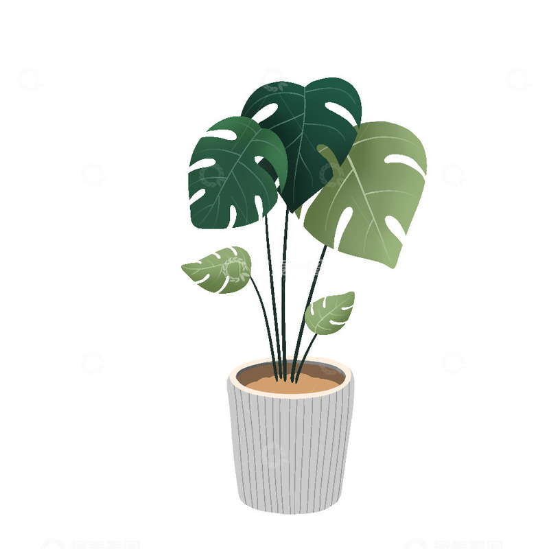 源文件下载【趣麦麦图】室内绿色植物盆栽花瓶