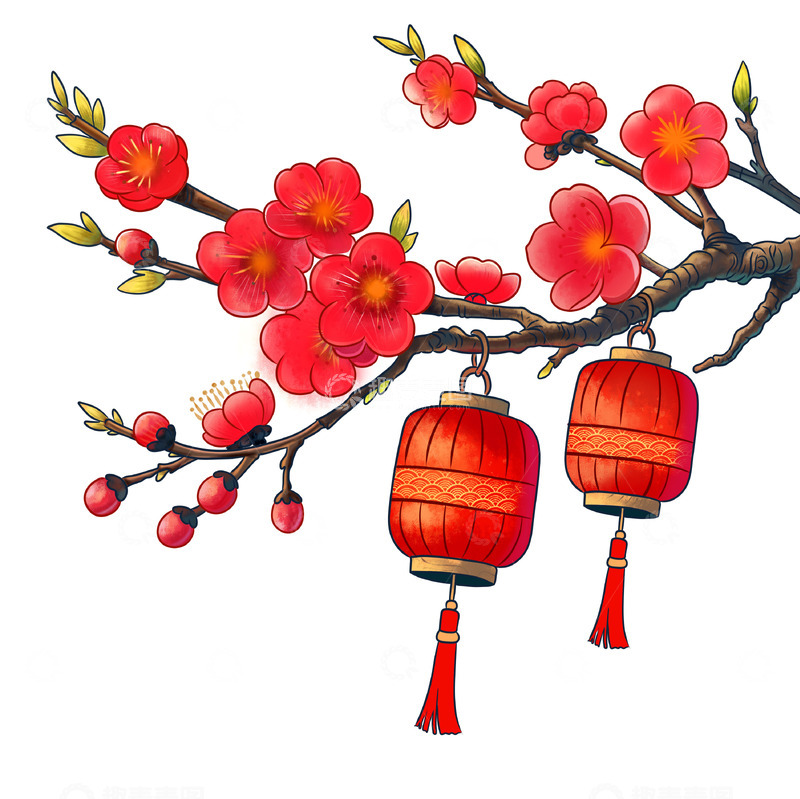 中国腊梅灯笼手绘