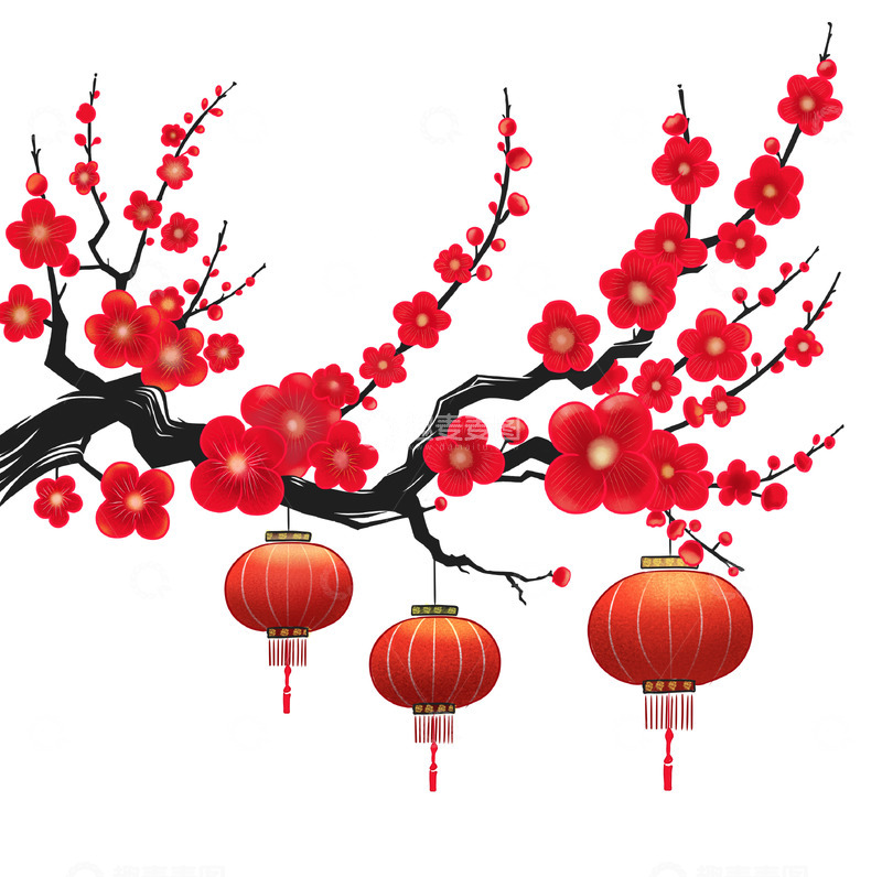 红梅枝头挂灯笼手绘素材