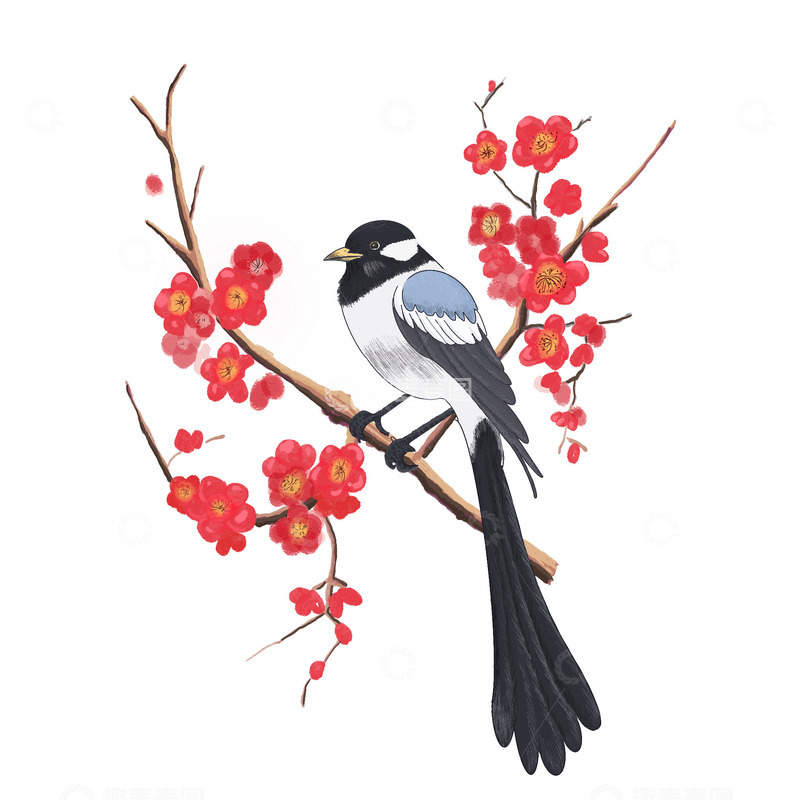 源文件下载【趣麦麦图】梅花喜鹊红色树枝手绘春节