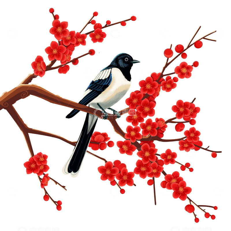 喜鹊蹬梅喜上眉梢喜鹊梅花