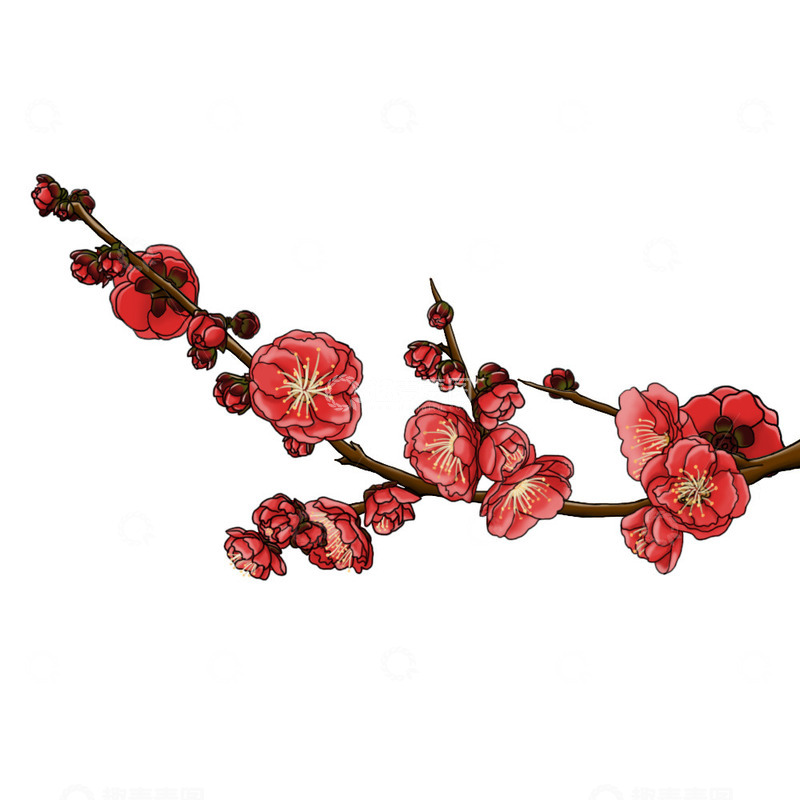 源文件下载【趣麦麦图】梅花冬梅红梅盛开的梅花
