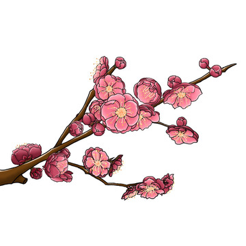 梅花枝头梅花红梅冬梅