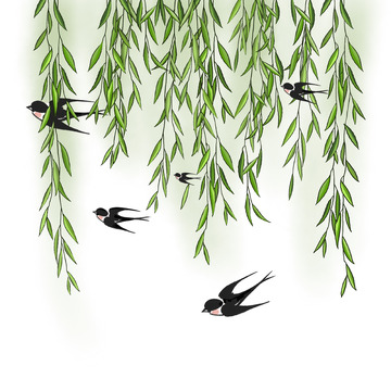 春天柳树枝条群飞燕子