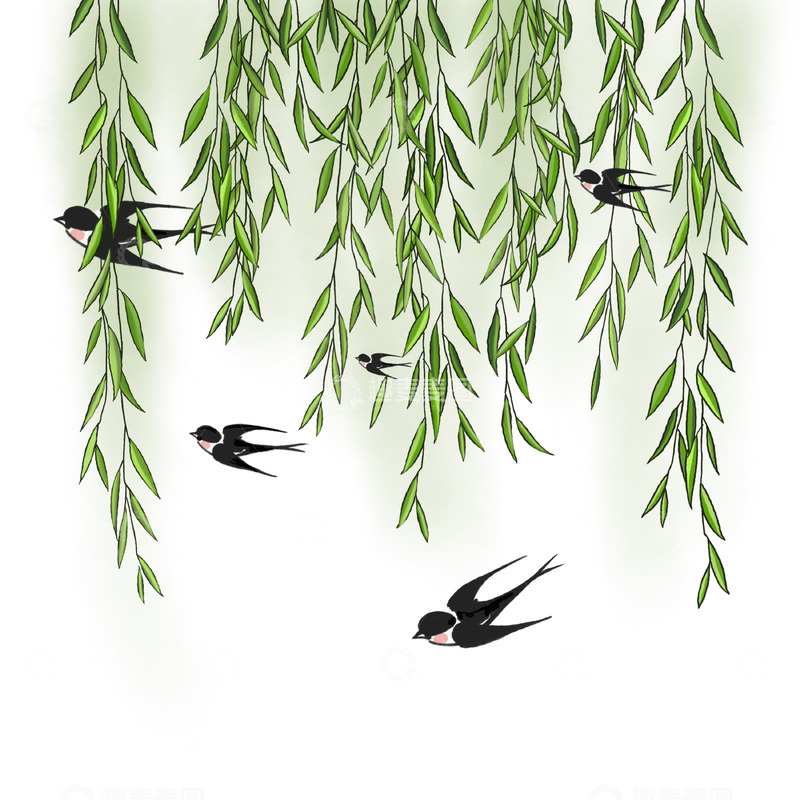 源文件下载【趣麦麦图】春天柳树枝条群飞燕子