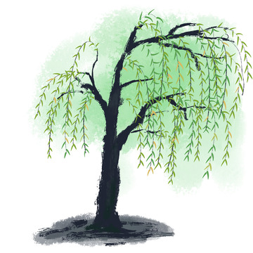 春天柳树绿色春季手绘植物
