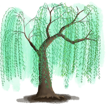 柳树手绘绿色春天春季树木