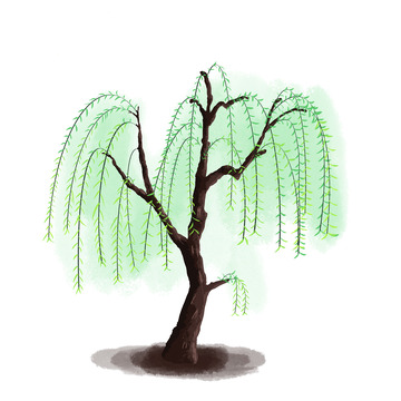 柳树手绘绿色春季春天植物