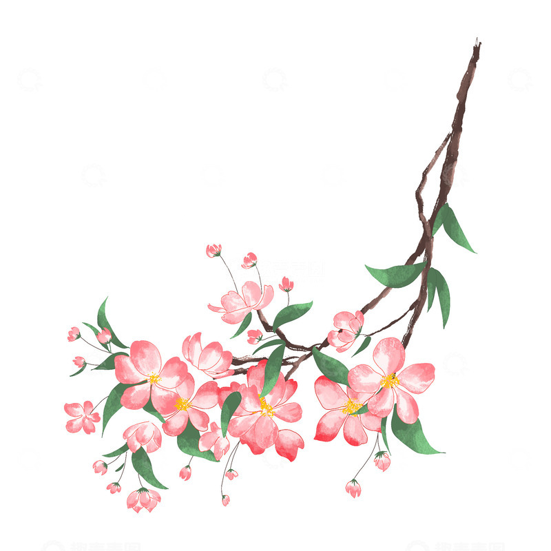 源文件下载【趣麦麦图】鲜花桃花树枝春天春季手绘