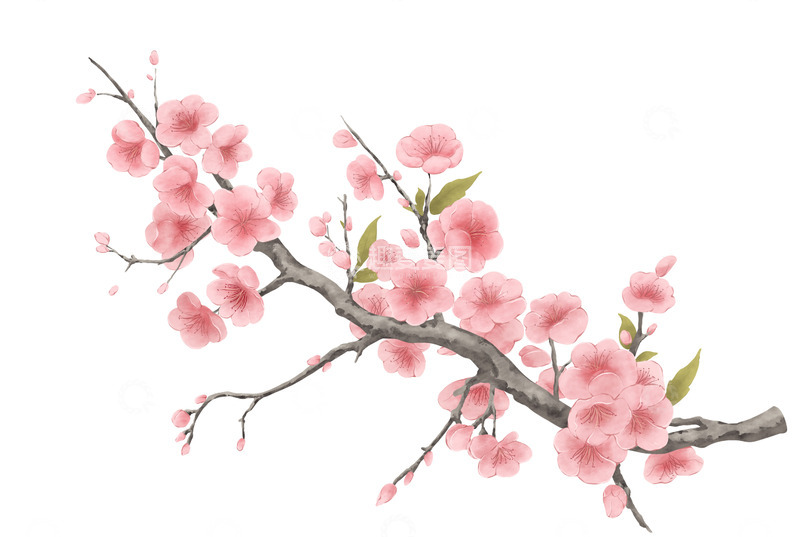 源文件下载【趣麦麦图】水彩水墨桃花中国风