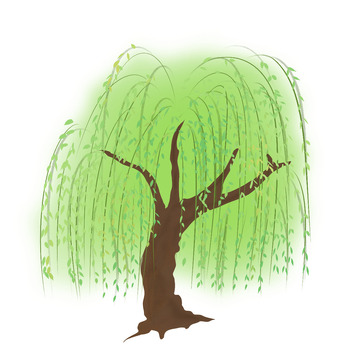 手绘清新柳树柳叶杨柳树木绿植春季装饰元素