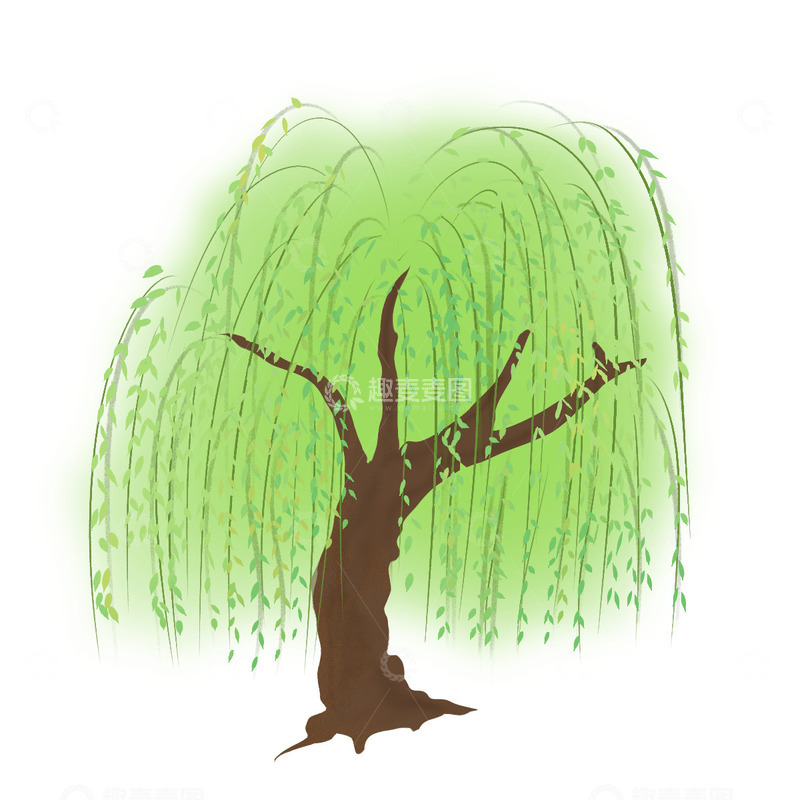 源文件下载【趣麦麦图】手绘清新柳树柳叶杨柳树木绿植春季装饰元素