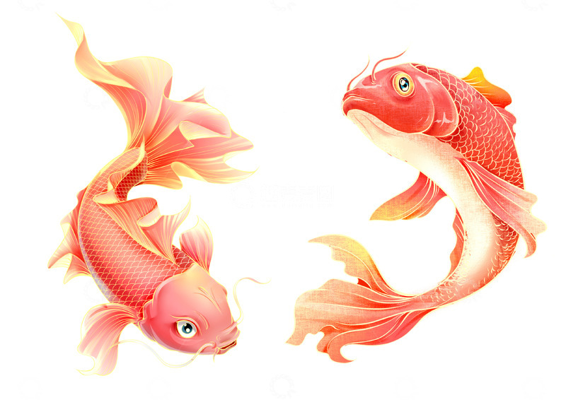 源文件下载【趣麦麦图】国风锦鲤国潮插画免扣素材