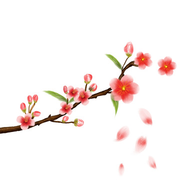 春天写实桃花开