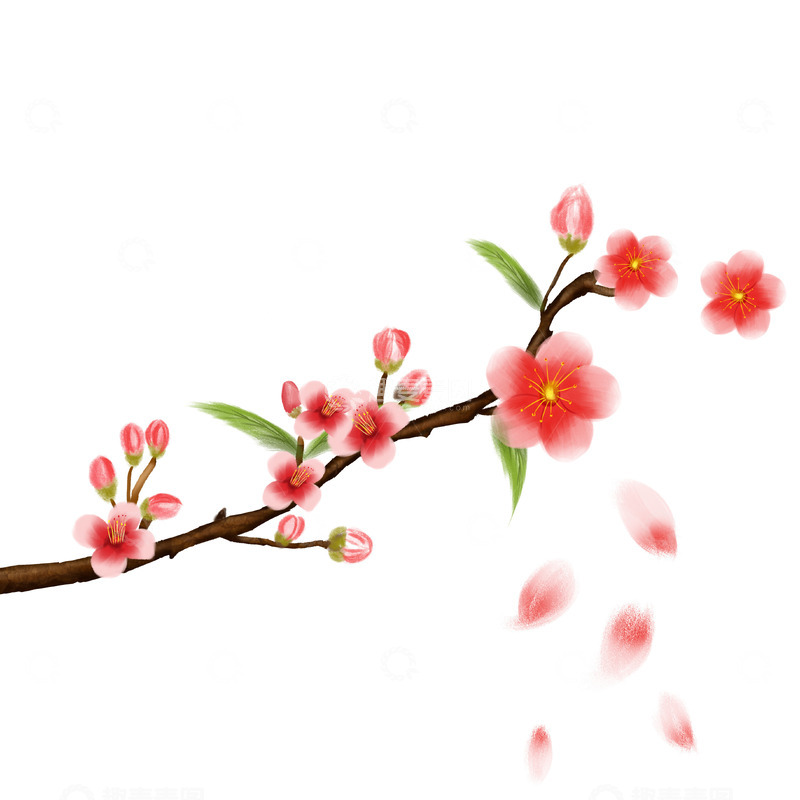 春天写实桃花开