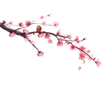 水墨桃花桃花树树枝装饰