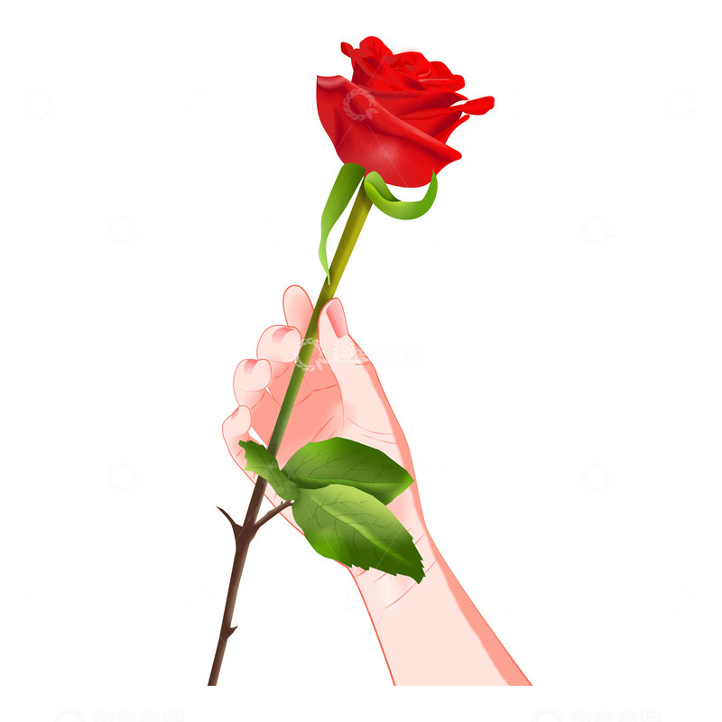 源文件下载【趣麦麦图】女神节女王节妇女节节日手持鲜花花朵元素