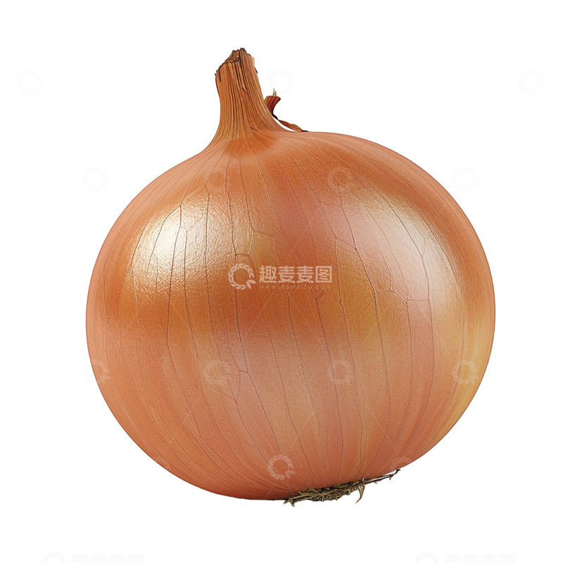 源文件下载【趣麦麦图】洋葱食材实拍元素