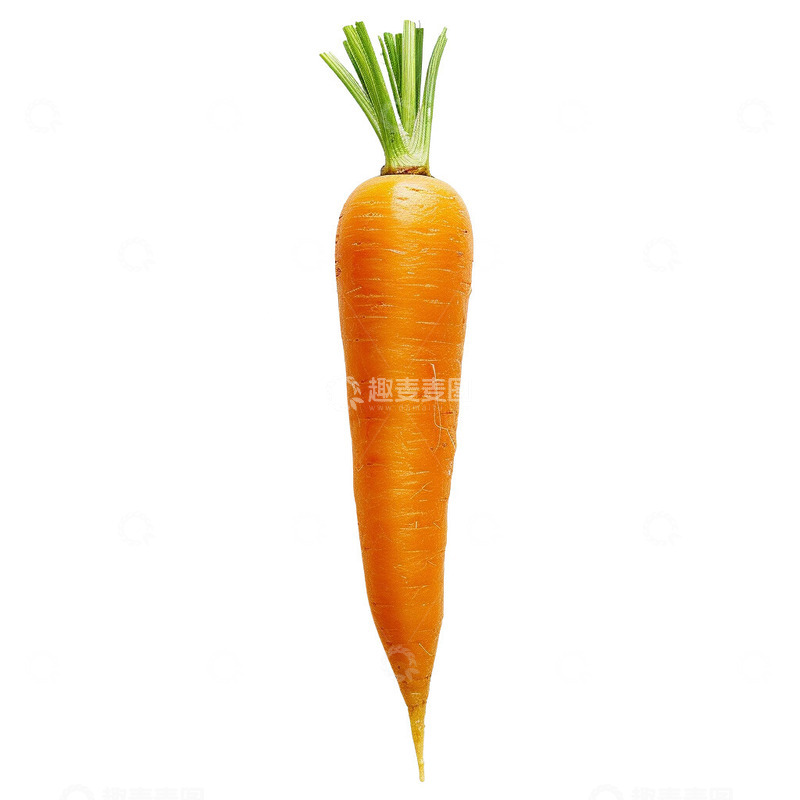 高清大图下载【趣麦麦图】-胡萝卜免扣元素