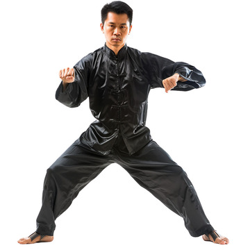 练习武术功夫的男士