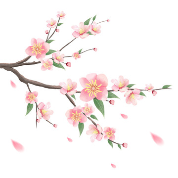 春天桃花花枝元素