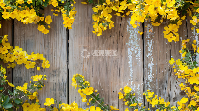 高清大图下载【趣麦麦图】小清新花框简约淘宝背景