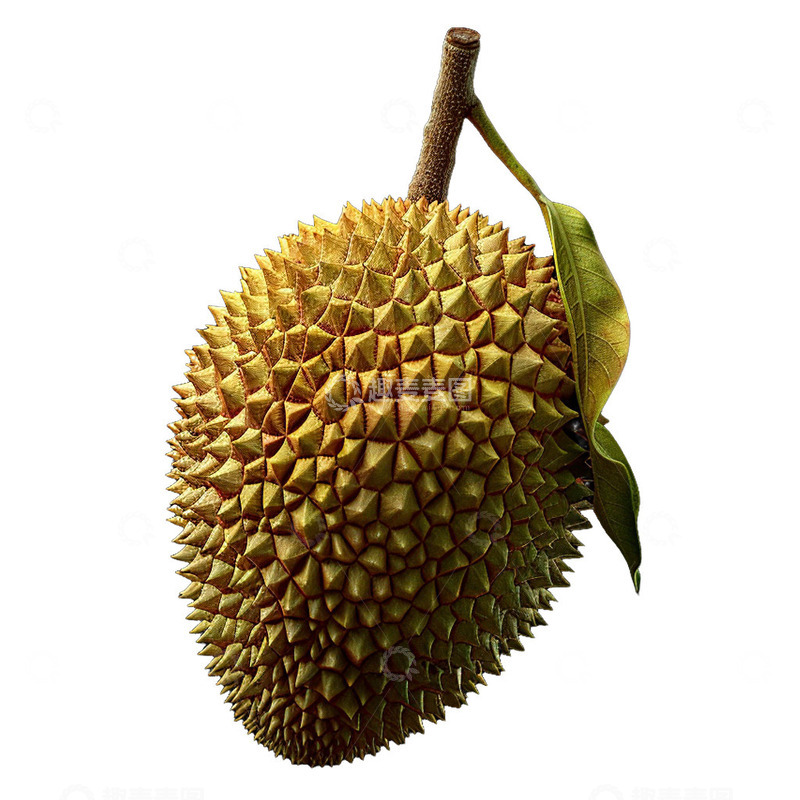 热带水果榴莲
