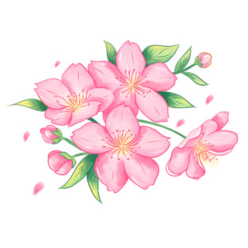 手绘桃花樱花春天植物元素