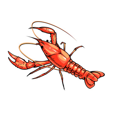 手绘美食小龙虾素材