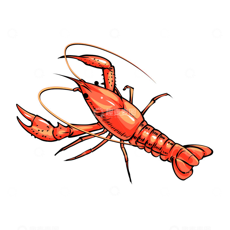 源文件下载【趣麦麦图】手绘美食小龙虾素材
