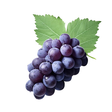 一串葡萄写实元素