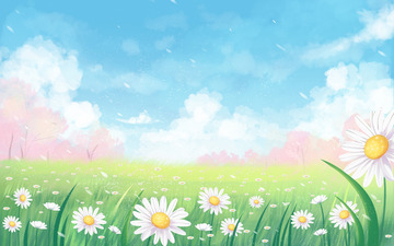 春天夏天治愈美景清新天空蓝天云草地花风景