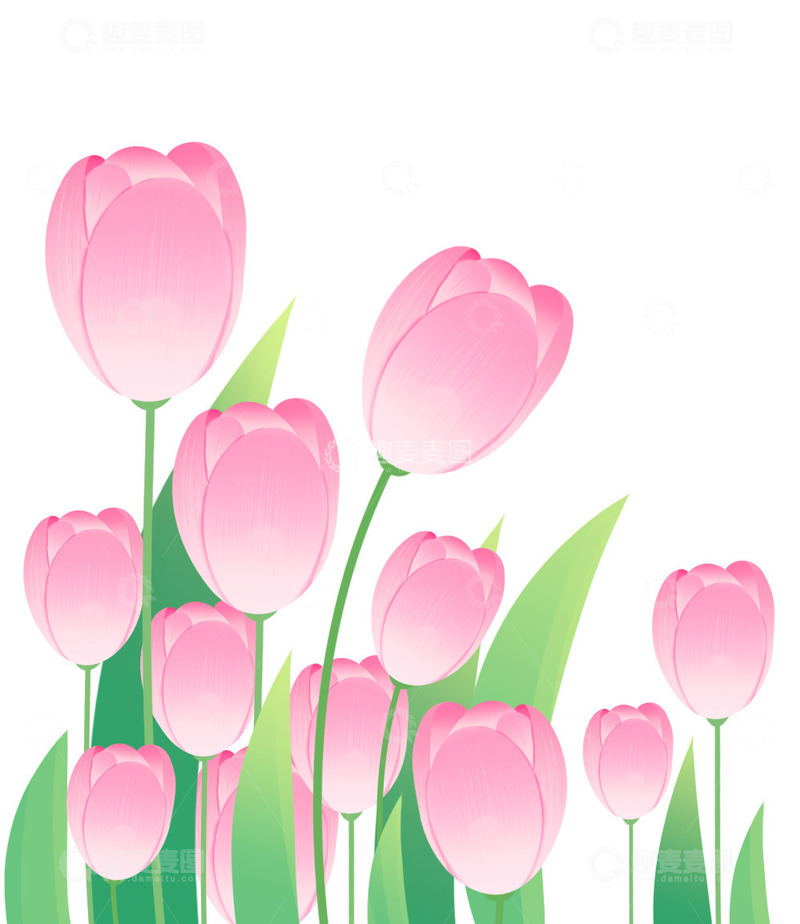 春天粉色郁金香花朵植物元素