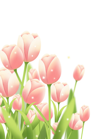 春天浪漫粉色郁金香鲜花植物节日装饰元素