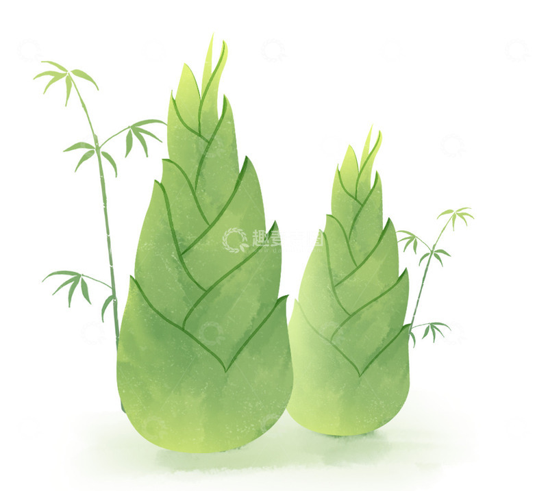 春天春季植物水墨国风竹子笋子