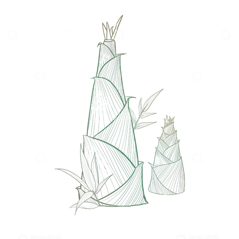 源文件下载【趣麦麦图】简约免扣线条竹笋