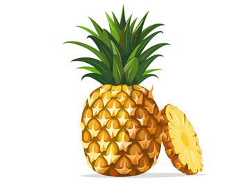 手绘菠萝凤梨卡通插画