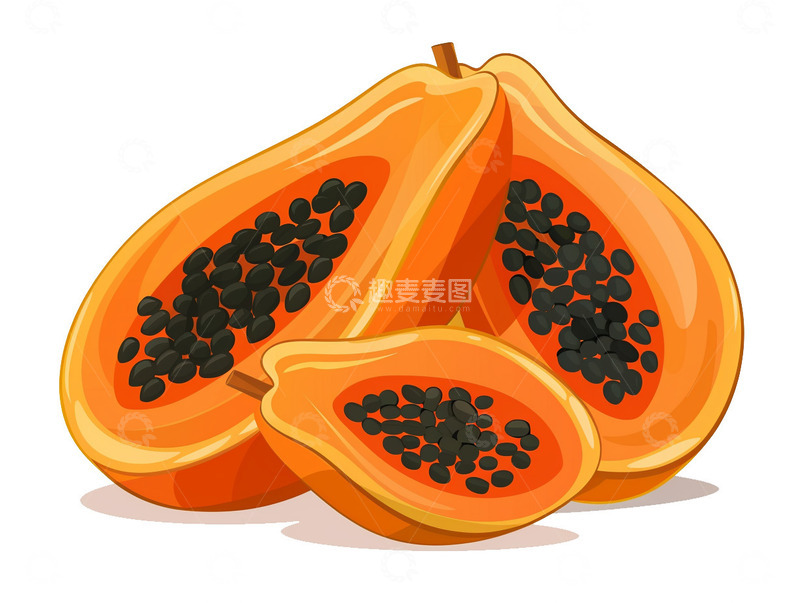 高清大图下载【趣麦麦图】手绘木瓜卡通插画